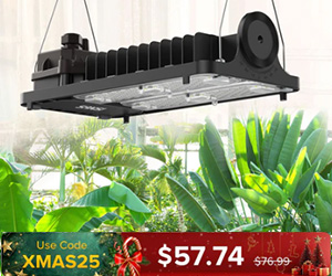 Sansi LED Lighting